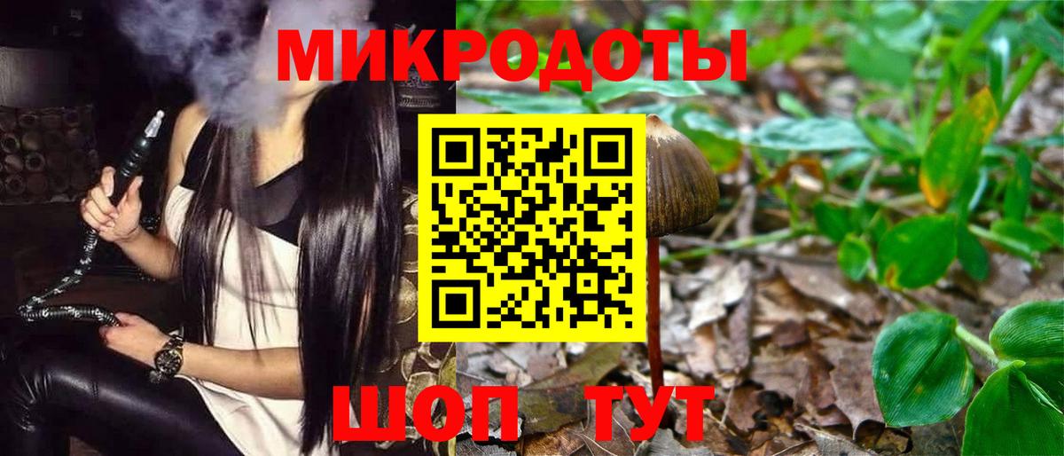 Барнаул  Галлюциногенные грибы Psilocybine cubensis  Вход с VPN 